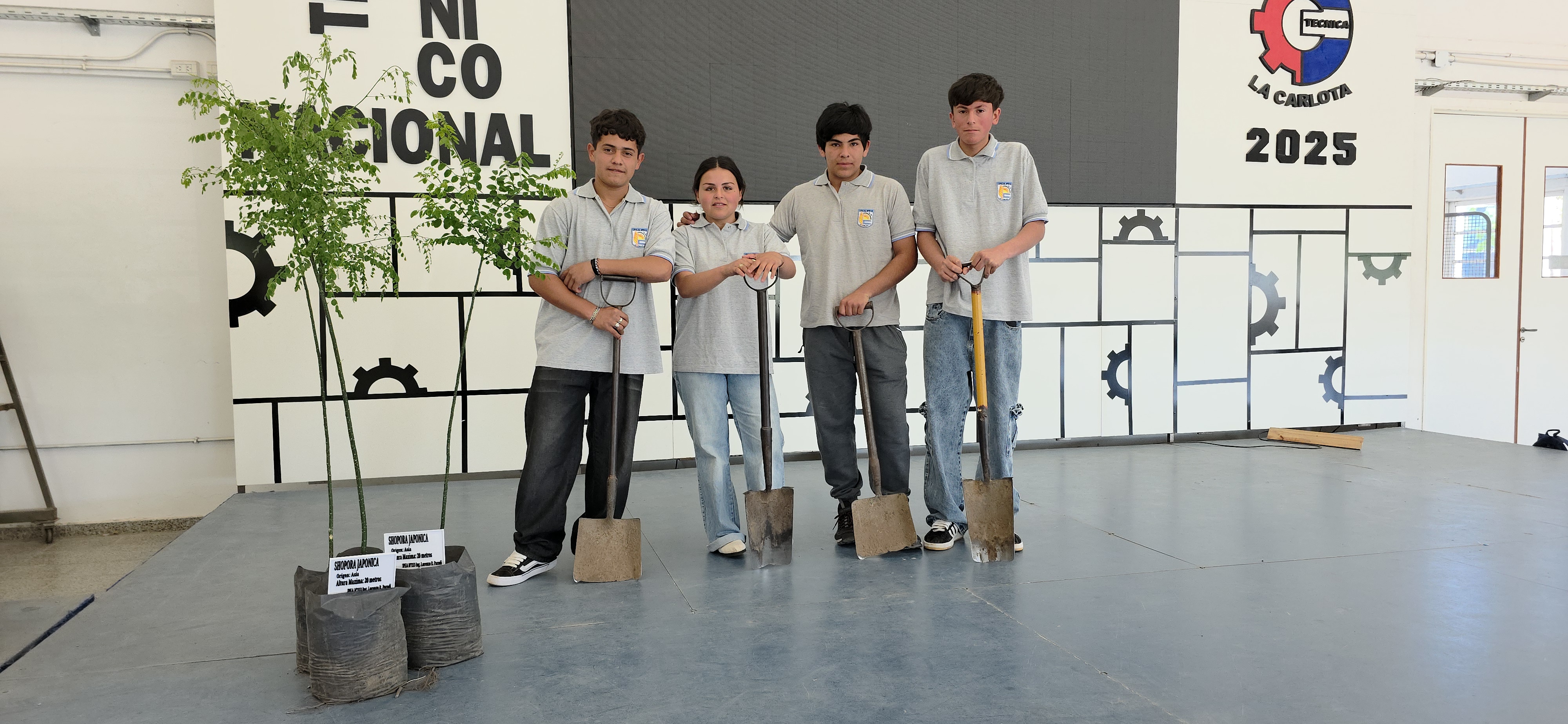 Imagen adicional