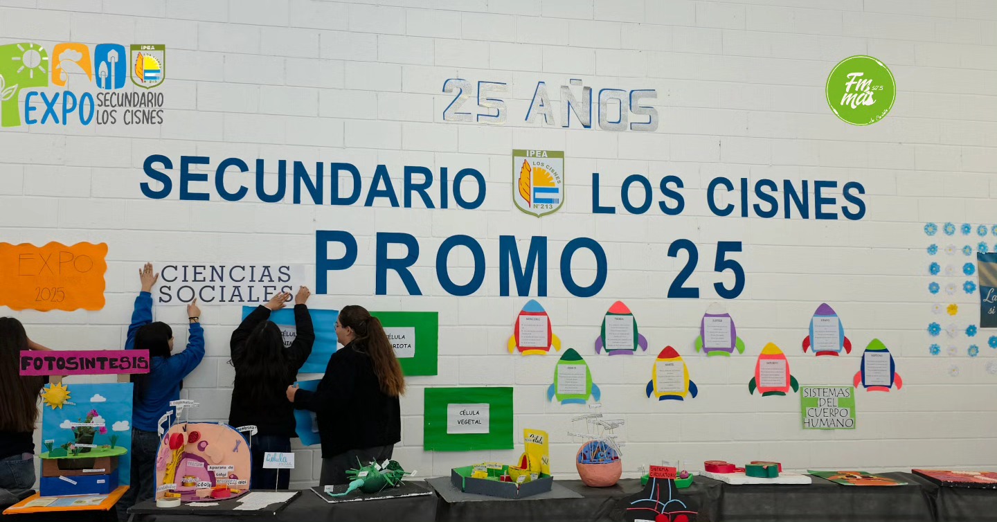 Imagen adicional